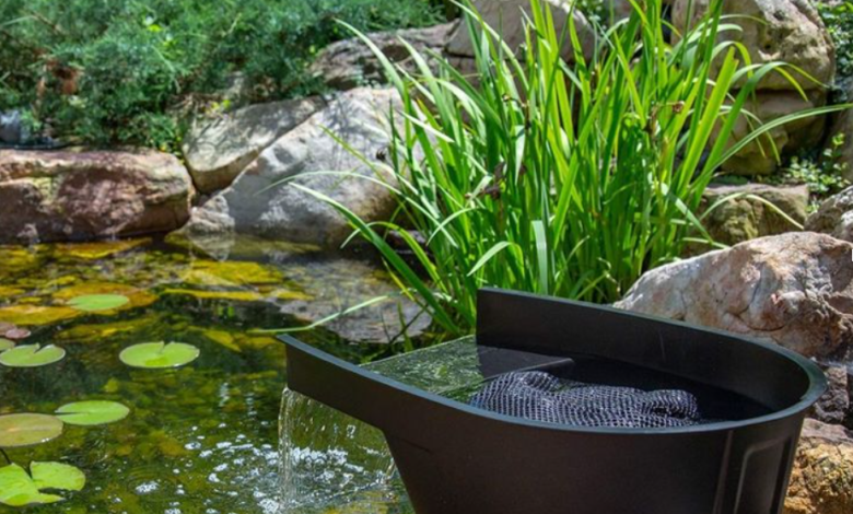 Pond Shop: Your One-Stop Destination for Everything Pond-Related