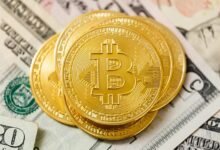 future growth key stocks