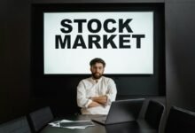 premium sector intelligence data