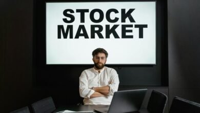 premium sector intelligence data