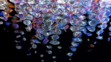 digital fusion beam technology