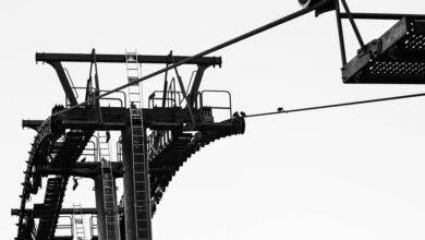 dynamic growth strategy framework