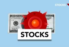 revenue path for vector