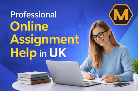 5 Ways Professional Assignment Help Can Transform Your Academic Career